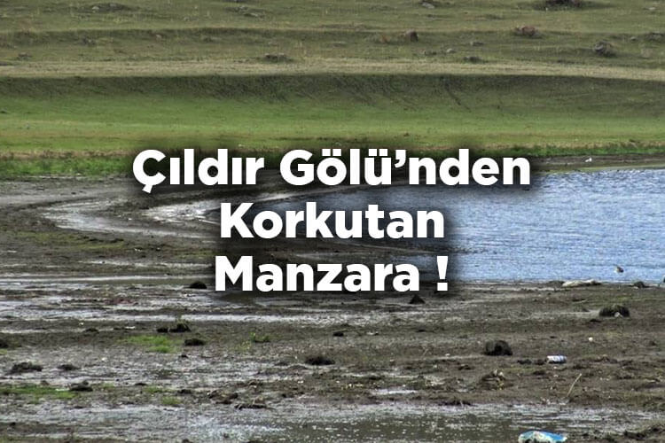 Çıldır Gölü Kuraklık İle Mücadele Ediyor!