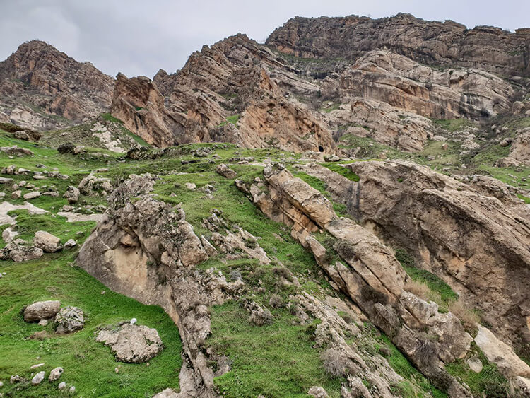 Damlarca Kamp Alanı