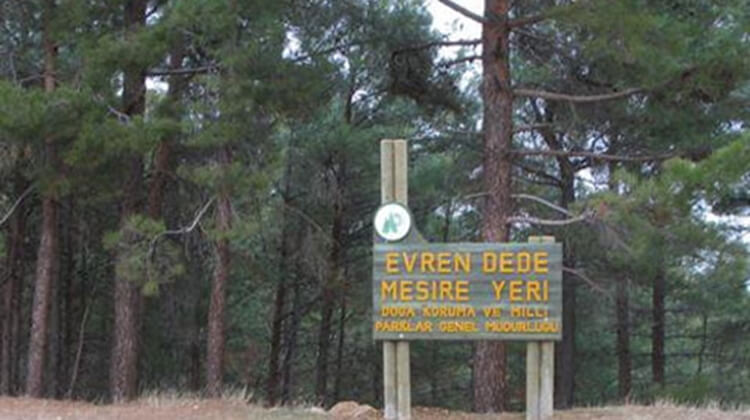 Evren Dede Mesire Alanı Ve Kamp Alanı
