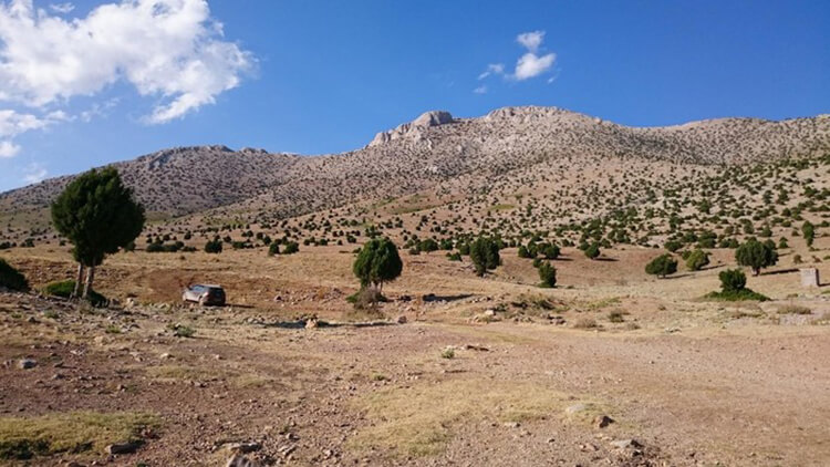 Hacıbaba Dağı Kamp Alanı