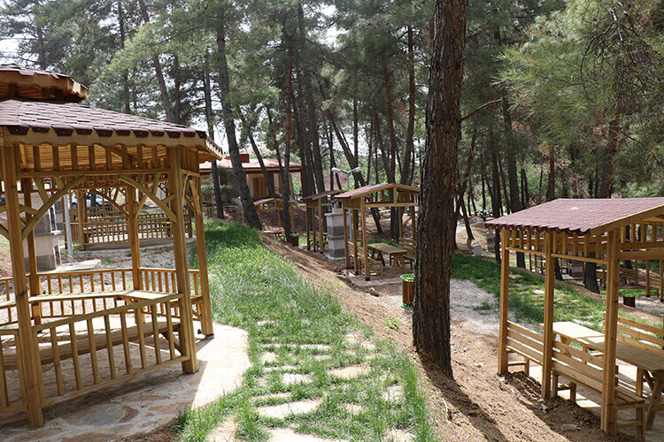 Hisar Çamlığı Tabiat Parkı Kamp Alanı