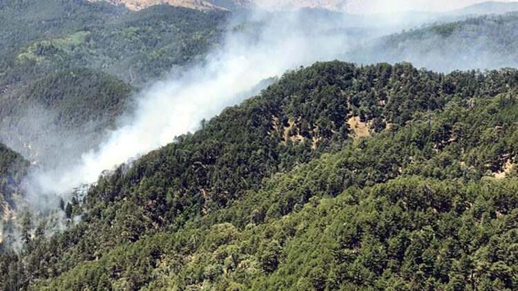 Isparta'da Ormanlara Giriş Yasağı Uzatıldı