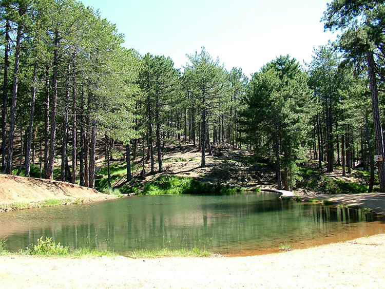 Murat Dağı Kamp Alanı