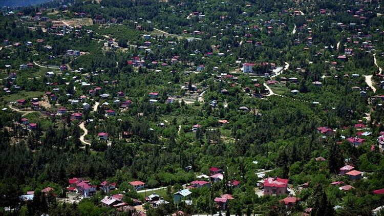 Olukbaşı Yaylası Kamp Alanı