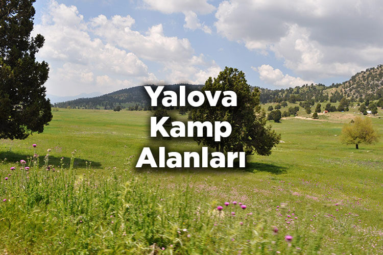 Yalova Kamp Alanları