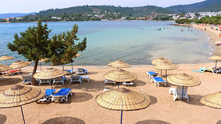 Zeytinli Kuyu Plajı Kamp Alanı
