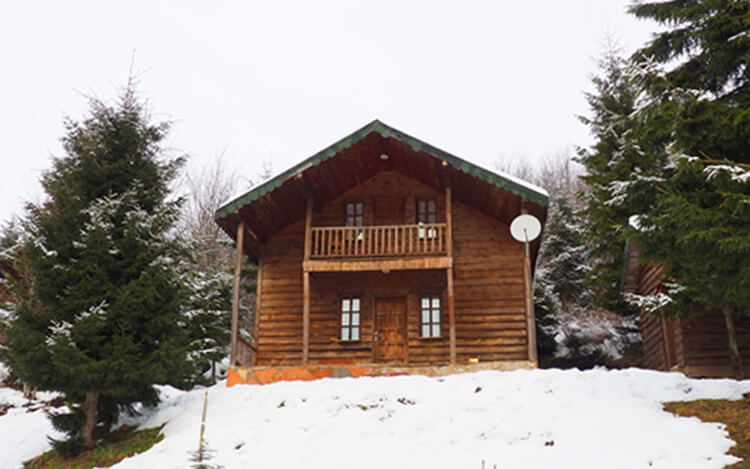 Aybastı Kent Ormanı Bungalov Evleri