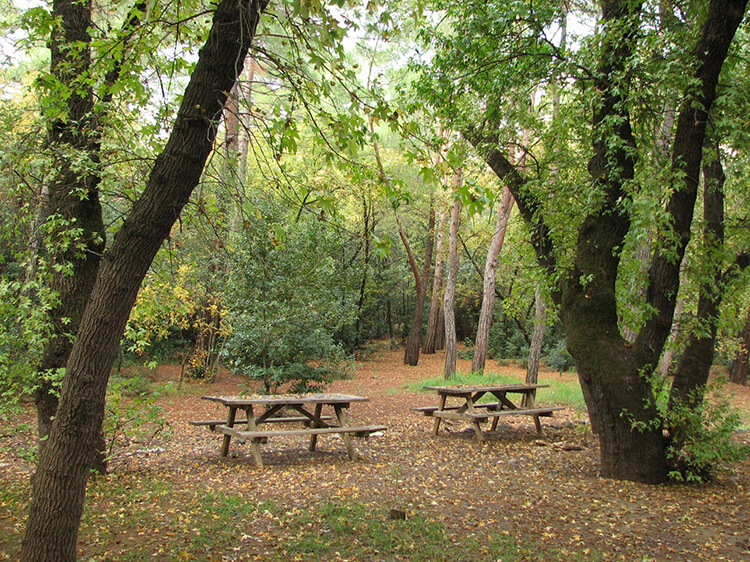 Günnücek Marmaris Milli Parkı Kamp Alanı