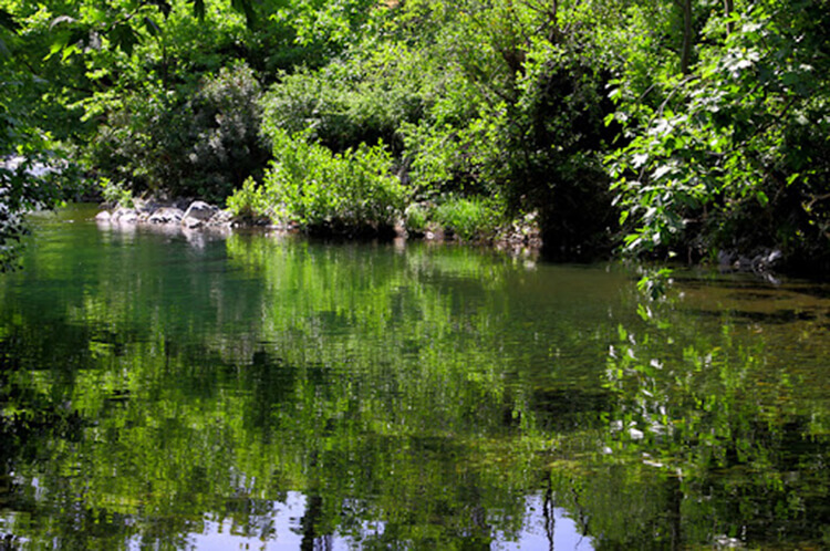 Mehmetalan Köyü Kamp Alanı