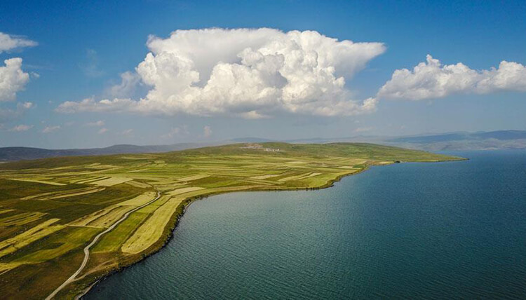 Rize'ye Yakın Ardahan Kamp Yerleri