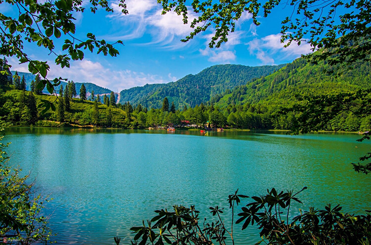 Rize'ye Yakın Artvin Kamp Yerleri