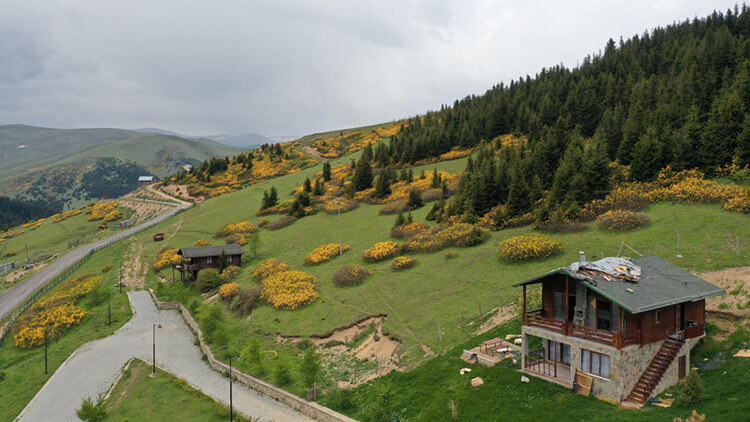Rize'ye Yakın Giresun Kamp Yerleri