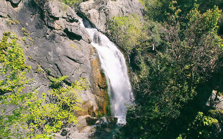  Sütüven Şelalesi Kamp Alanı