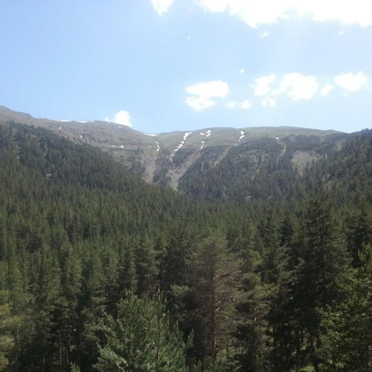 Artvin'e Yakın Erzurum Kamp Yerleri