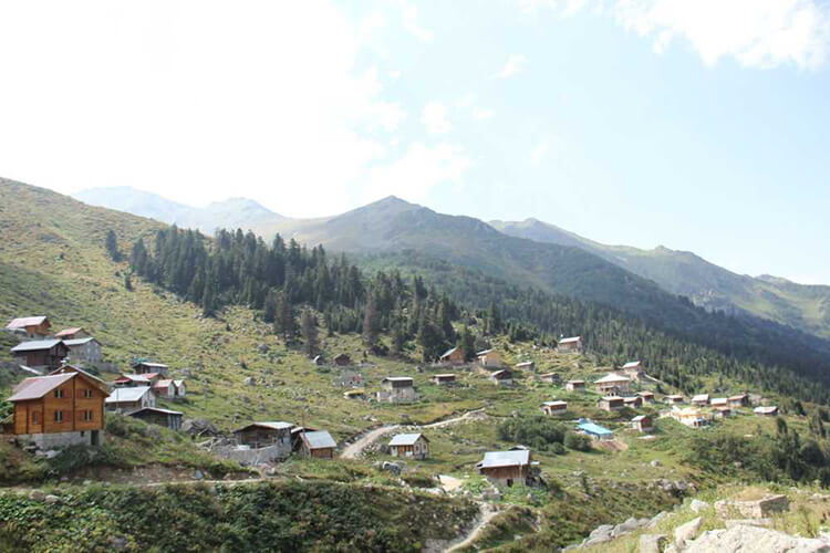 Artvin'e Yakın Rize Kamp Yerleri