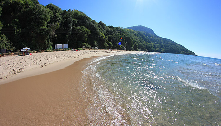 Bozköy Plajı Kamp Kamp Alanı