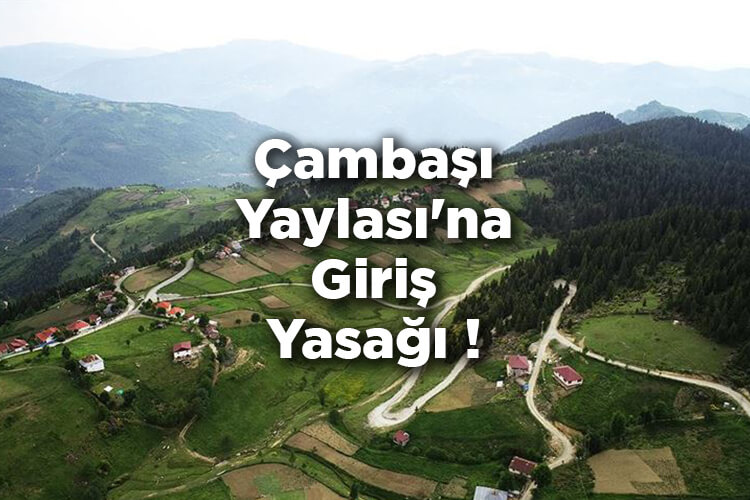 Çambaşı Yaylası'na Giriş Yasağı! Kabadüz Kaymakamlığı Duyurdu!