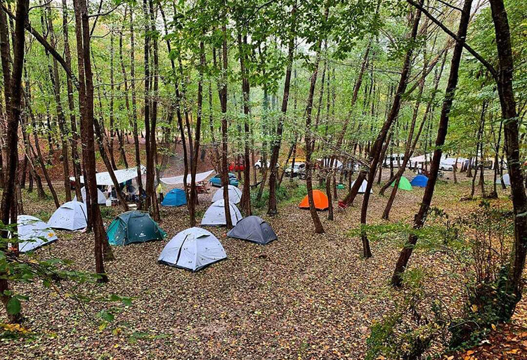 Elmalıdere Kamp Ve Piknik Alanı
