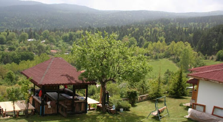 Kaya Bungalow Evleri