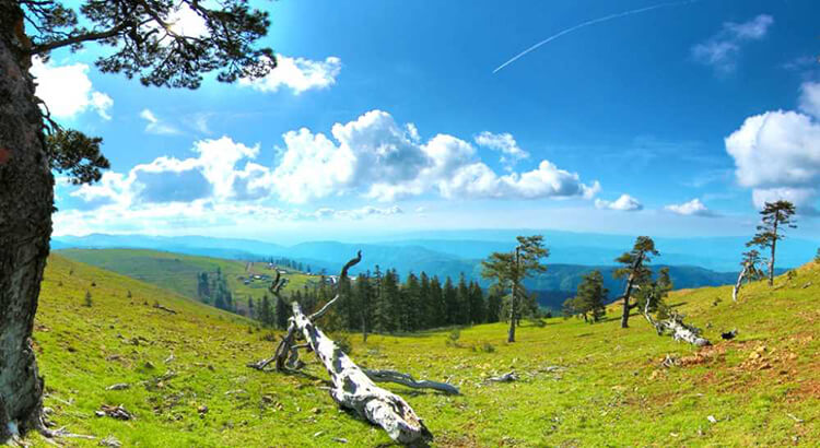 Sakarya'ya Yakın Düzce Kamp Yerleri