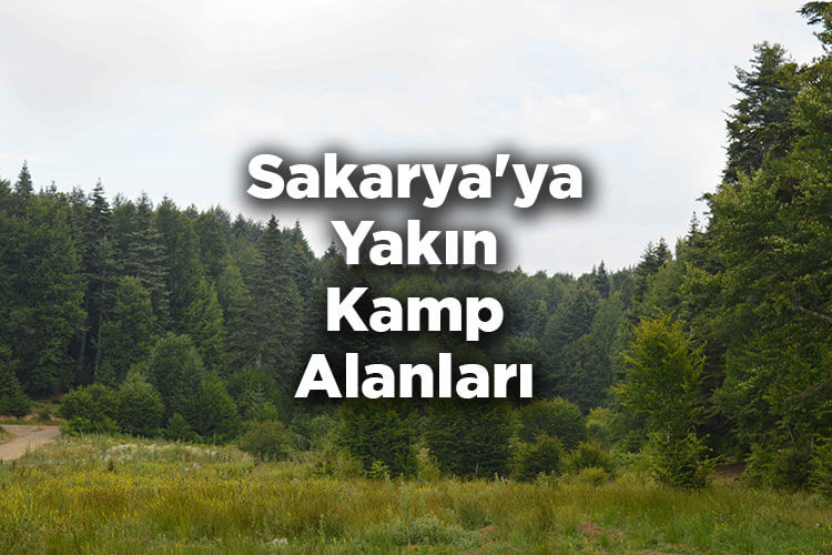 Sakarya'ya Yakın Kamp Alanları