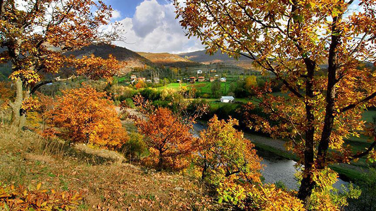 Samsun'a Yakın Ordu Kamp Yerleri