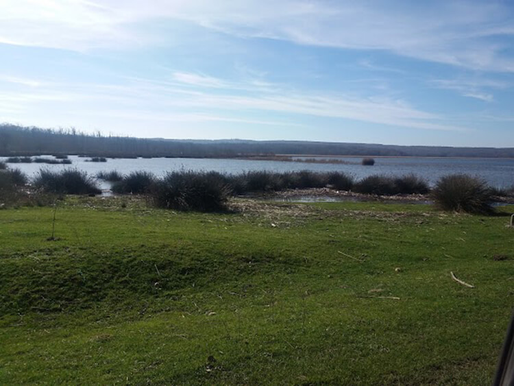 Samsun'a Yakın Sinop Kamp Yerleri