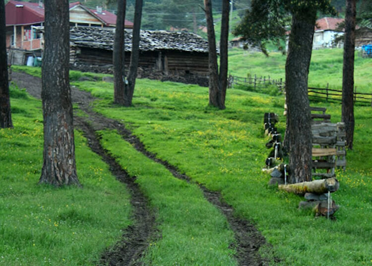 Samsun'a Yakın Tokat Kamp Yerleri