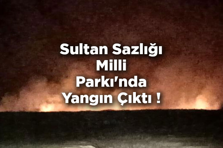 Sultan Sazlığı Milli Parkı'nda Yangın Çıktı!