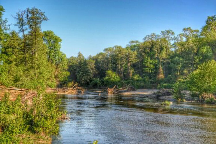 Bulanık Deresi Kamp Alanı