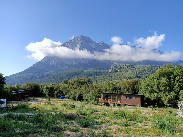 Camp Geyik