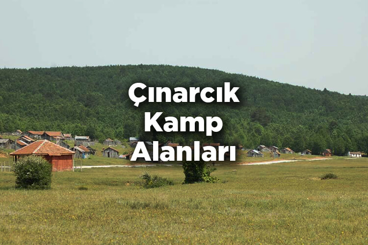 Çınarcık Kamp Alanları