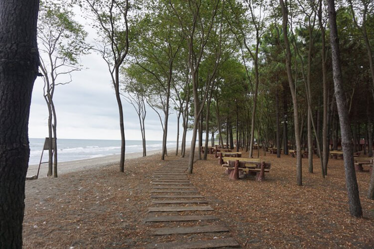 Çınarsuyu Tabiat Parkı Kamp Alanı