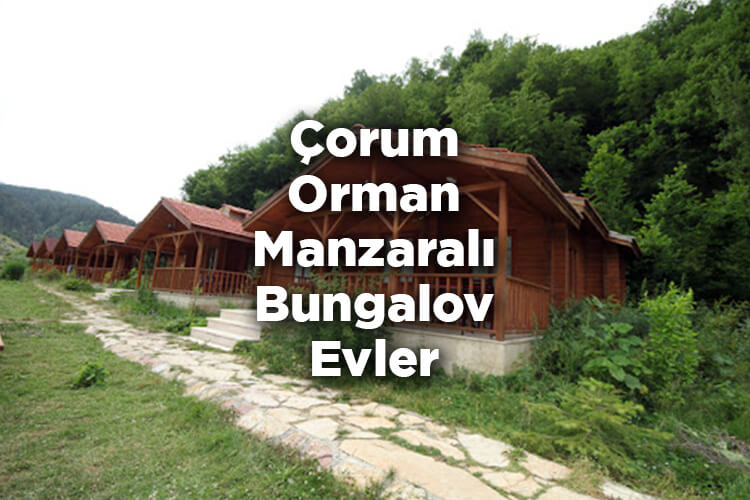 Çorum Bungalov Evleri - Çorum Orman Manzaralı Bungalov Evler