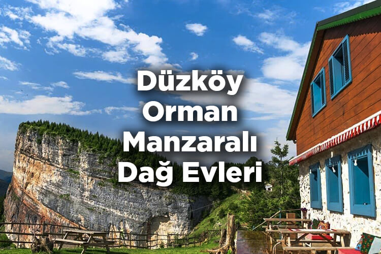 Düzköy Bungalov Evleri - Düzköy Orman Manzaralı Dağ Evleri