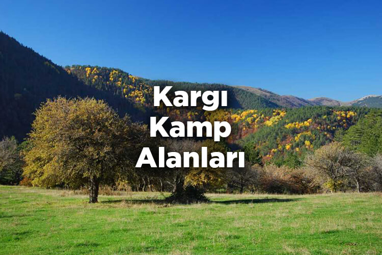 Kargı Kamp Alanları