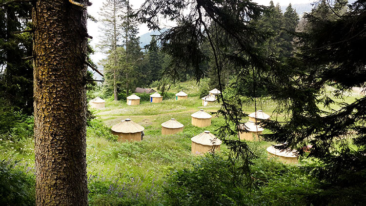 Livera Camping