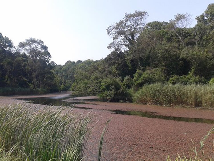 Saka Gölü Kamp Alanı