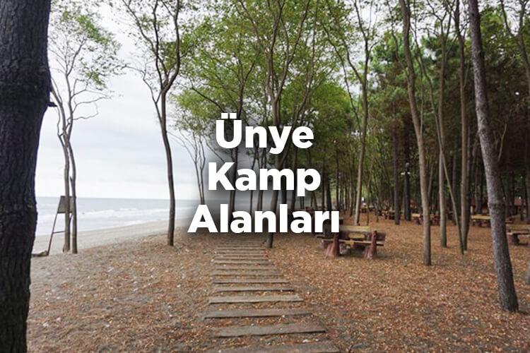 Ünye Kamp Alanları