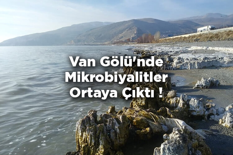 Van Gölü'nde Korkutan Görüntü! Mikrobiyalitler Ortaya Çıktı