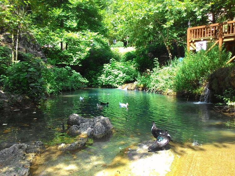 Yerköprü Kanyonu Kamp Alanı