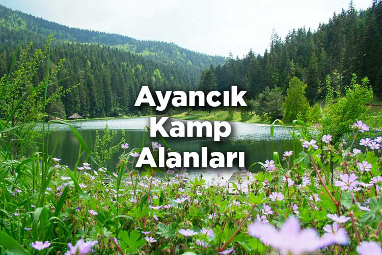 Ayancık Kamp Alanları