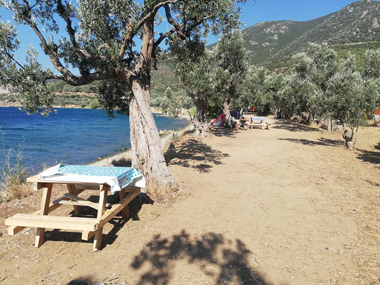 Bizim Yer Dila Camping