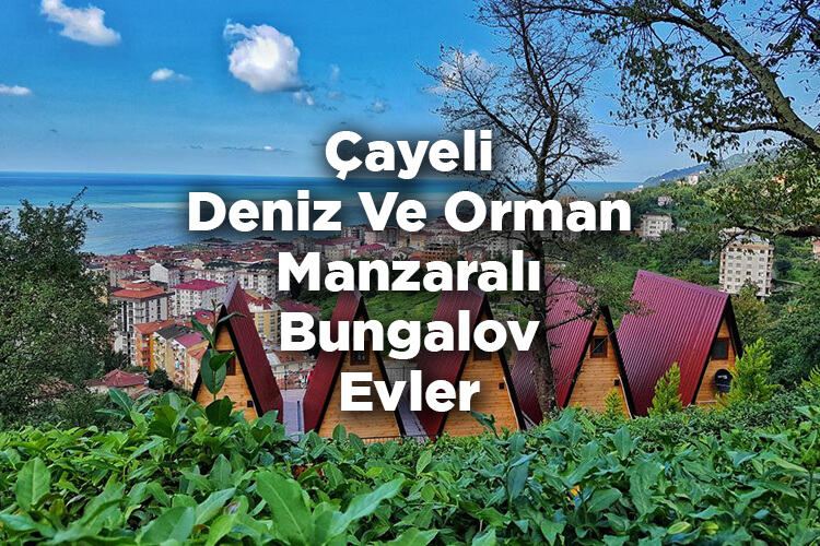 Çayeli Bungalov Evleri Listesi