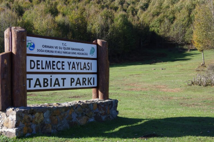 Delmece Yaylası Tabiat Parkı Kamp Alanı