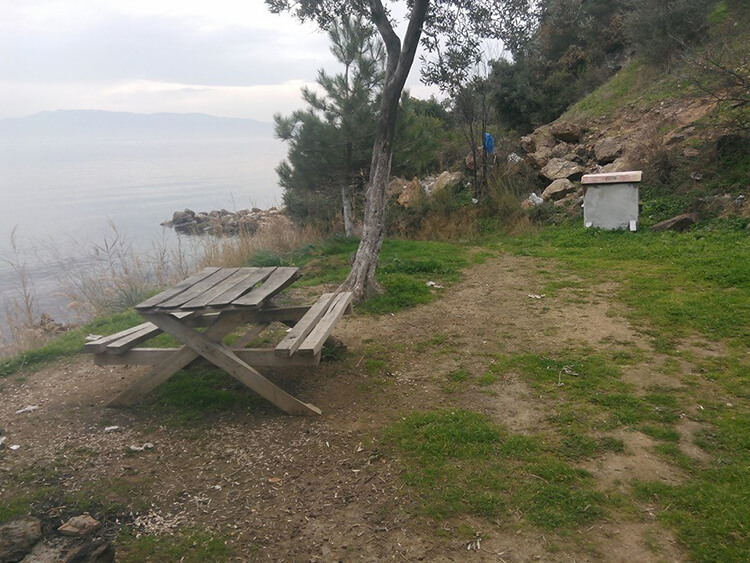 Deniz Atı Camping