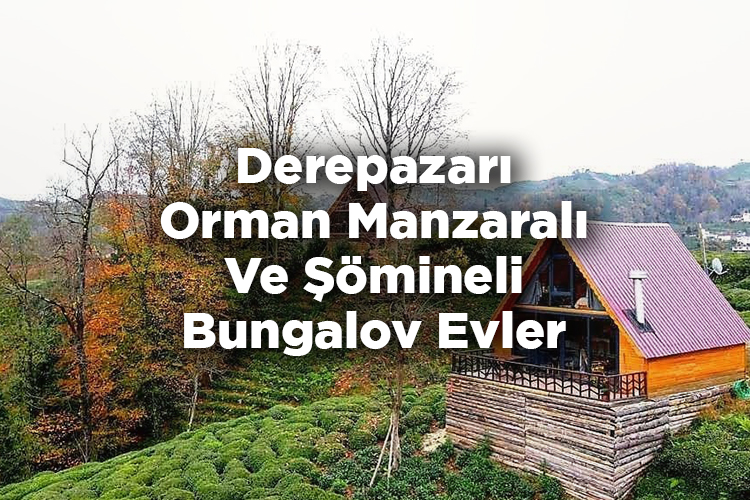 Derepazarı Bungalov Evleri Listesi