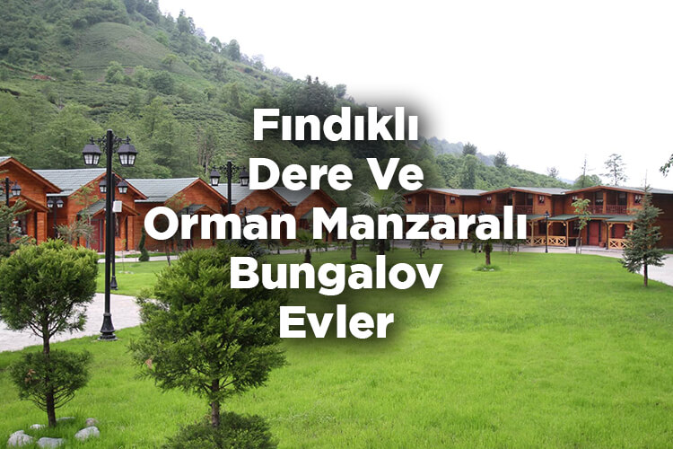 Fındıklı Bungalov Evleri - Fındıklı Dere Ve Orman Manzaralı Bungalov Evler