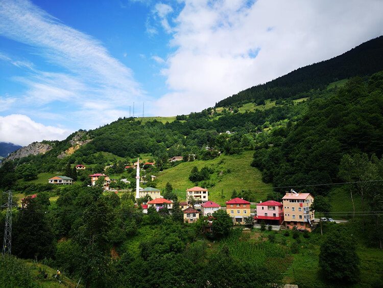 Hamsiköy Kamp Alanı