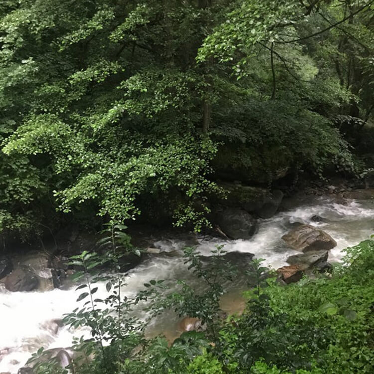 Karadağ Şelalesi Kamp Alanı